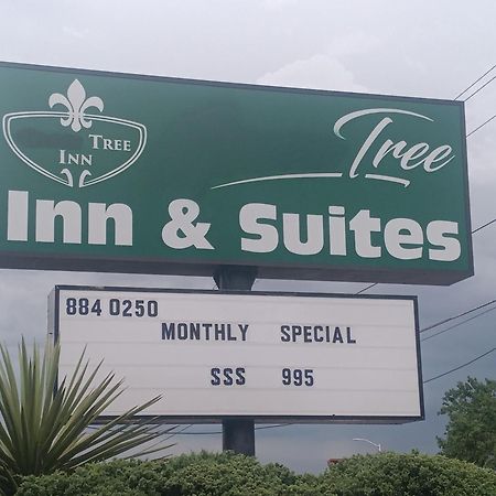 Tree Inn & Suites Albuquerque Exteriör bild