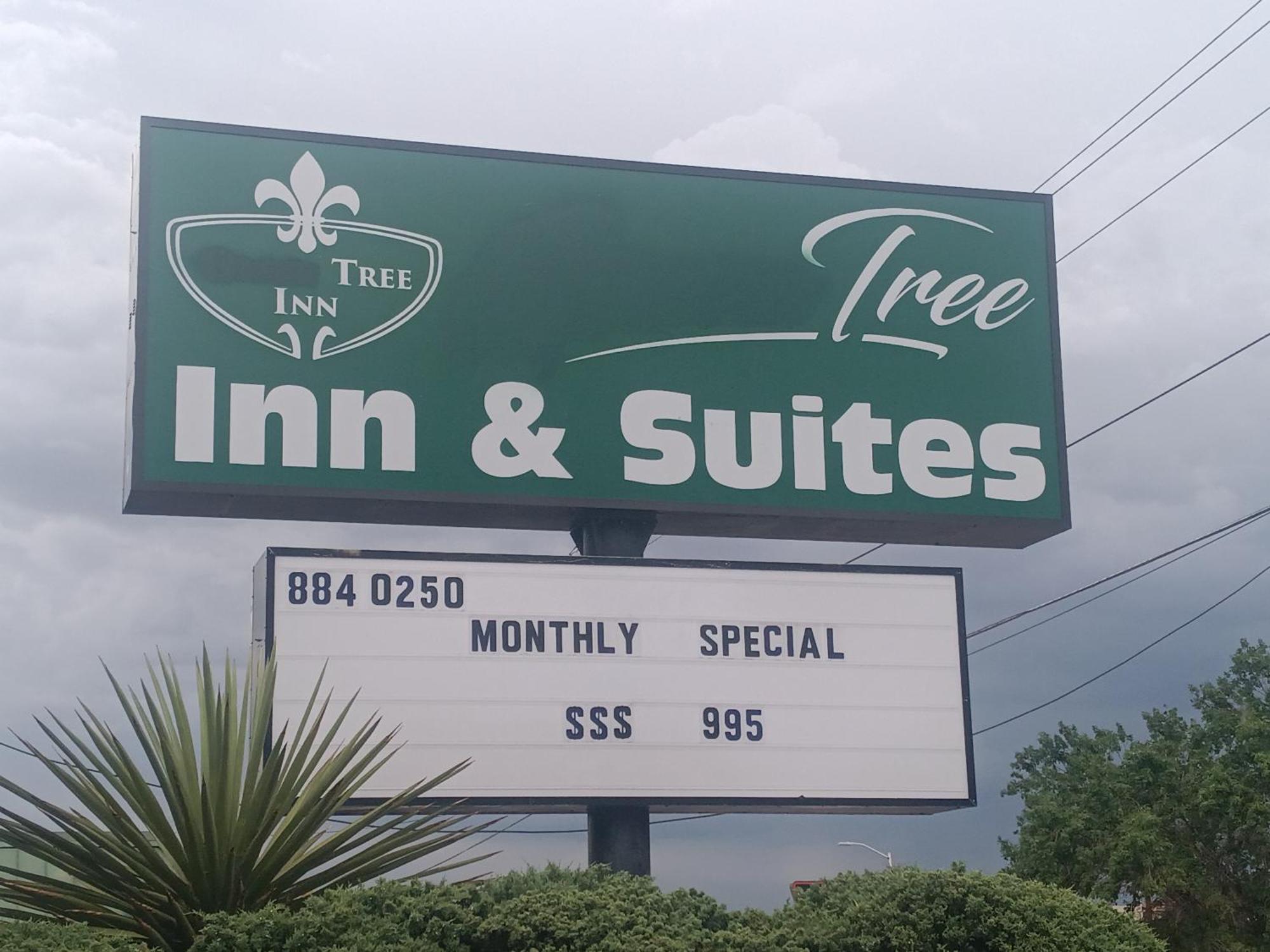 Tree Inn & Suites Albuquerque Exteriör bild